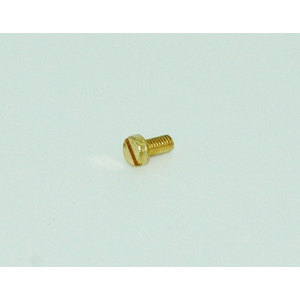 Johnson End Cap Screw 5 x 8mm.