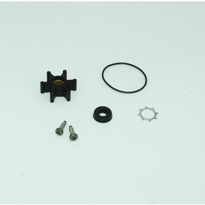 Johnson Wartungssatz F2P10
