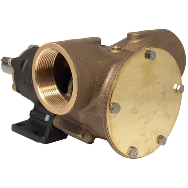 Jabsco Impellerpumpe BRZ PED 270 BSP (52270-2011)