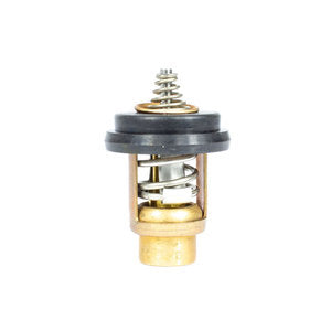 Sierra Thermostat. Mercury