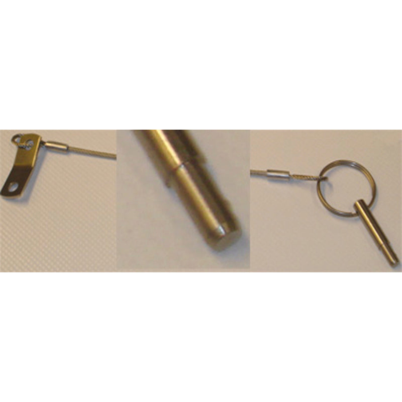 Seaworld Two-Step kalechepind