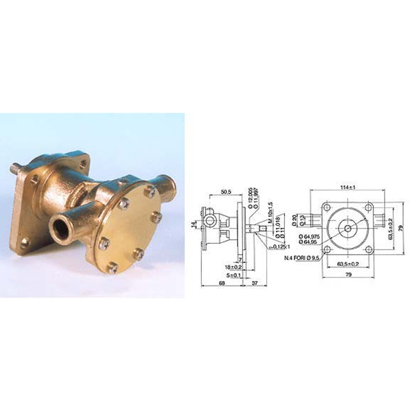 Pumpe mit Flansch für Motor ST 123