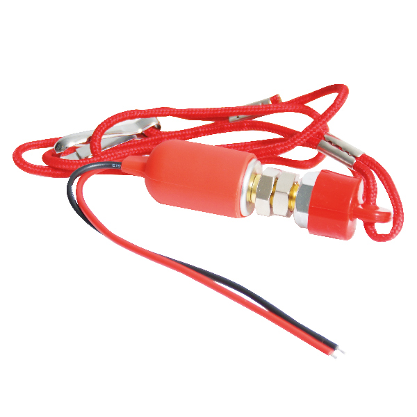 Totmannschalter grau innenliegend mit Kabel 12V