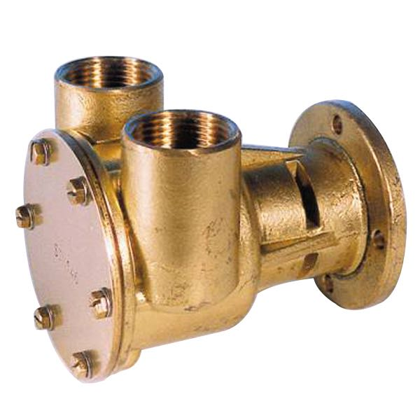 Pumpe mit Flansch für Motor st146