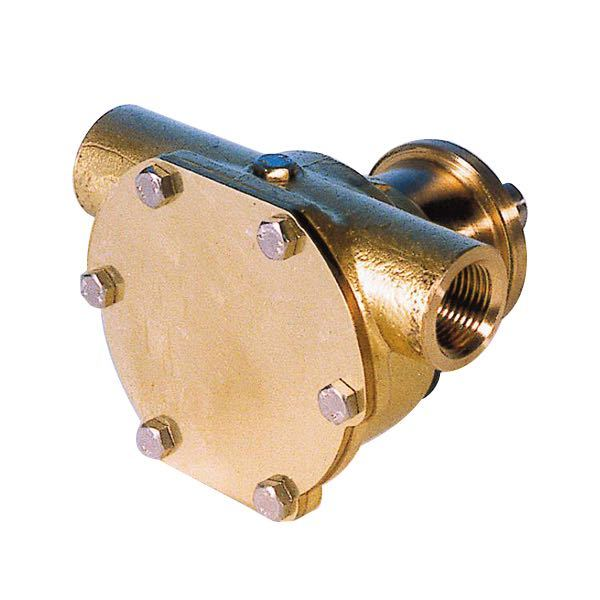 Pumpe mit Flansch für Motor st135