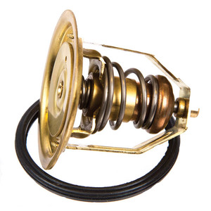 Orbitrade Thermostat-Kit 55