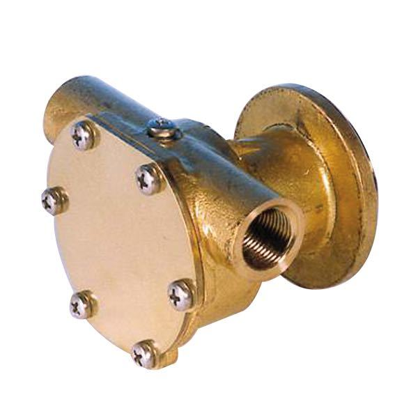 Pump with flange for motor st138