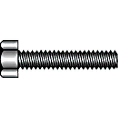 Gewindestift M10 x 60 DIN 933 A4 Beutel à 2 Stück.