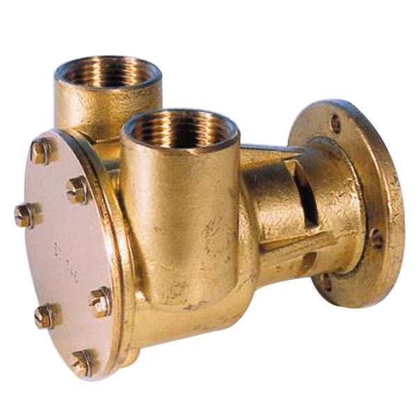 Pump with flange for motor st147