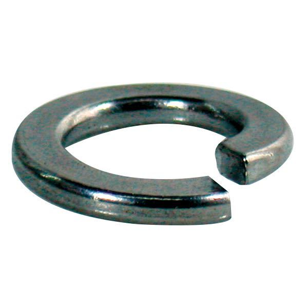 Federscheibe m10 a4 DIN 127-4 5Stk