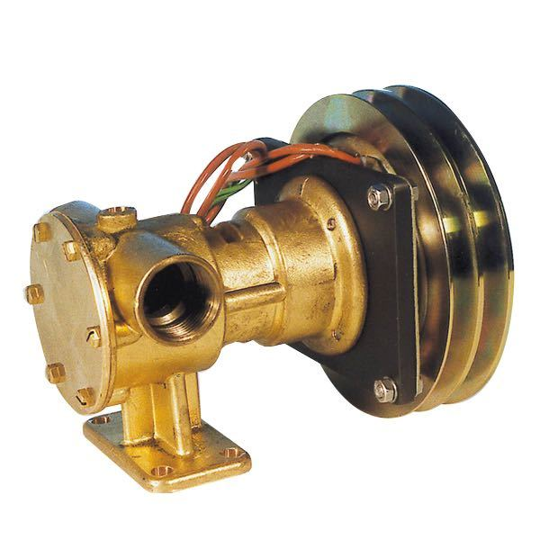 Magnetic pump 1" 12V
