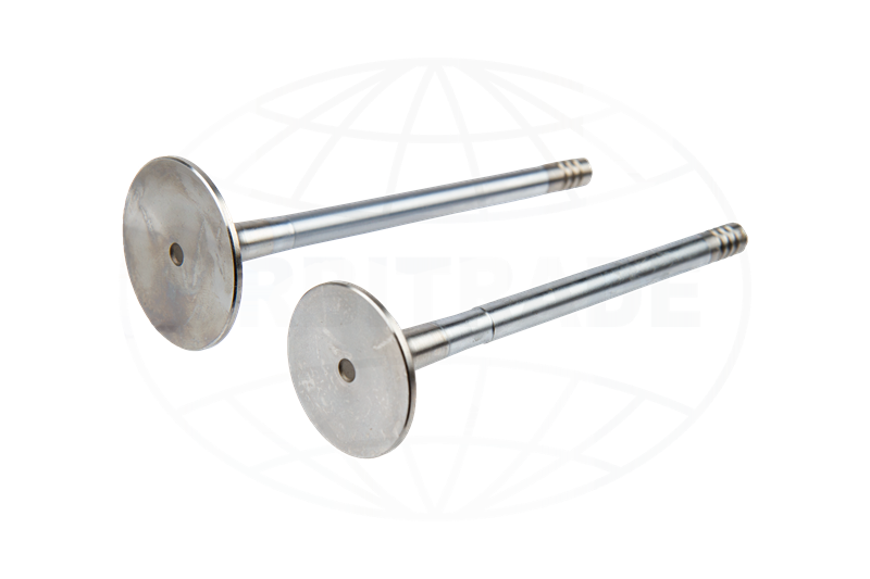 Orbitrade intake valve for Volvo Penta