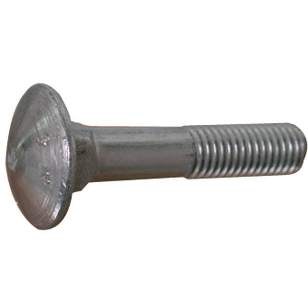 Brettschraube 6 x 20 A4 DIN 603-4 2 Stk.