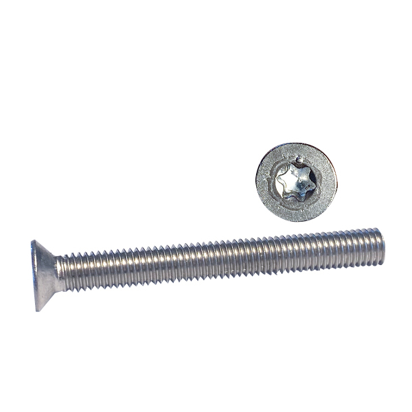 Maschinenschraube US Torx 10 x 60 A4 100 Stück