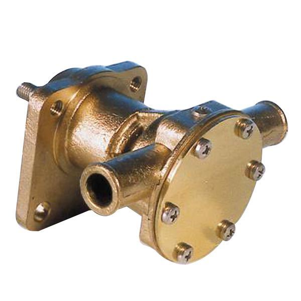 Pump with flange for motor pff12