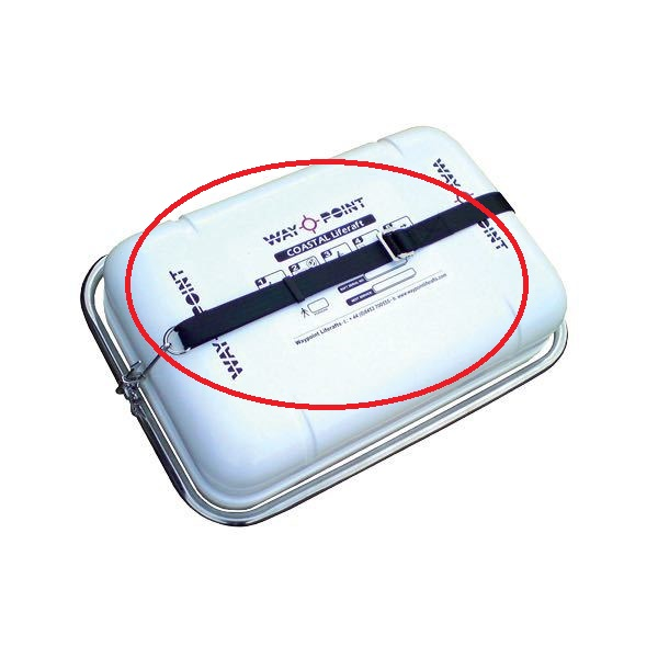 Fastening strap with quick release