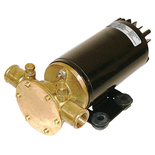 Johnson Impeller pump F4B-19 24V