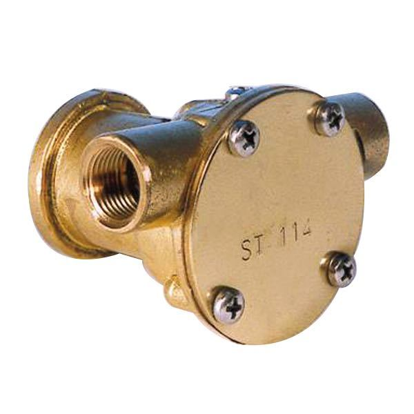 Pump with flange for motor st116
