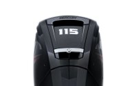 Mercury F 115 ELPT EFI