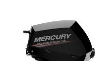 Mercury F 15 ERC EFI