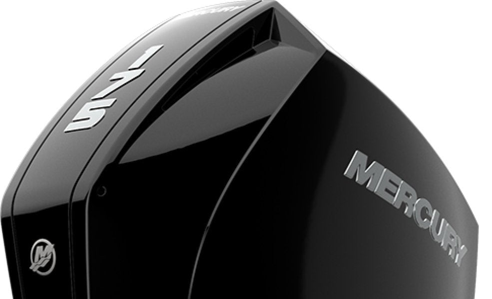 Mercury F 175 L XL DS