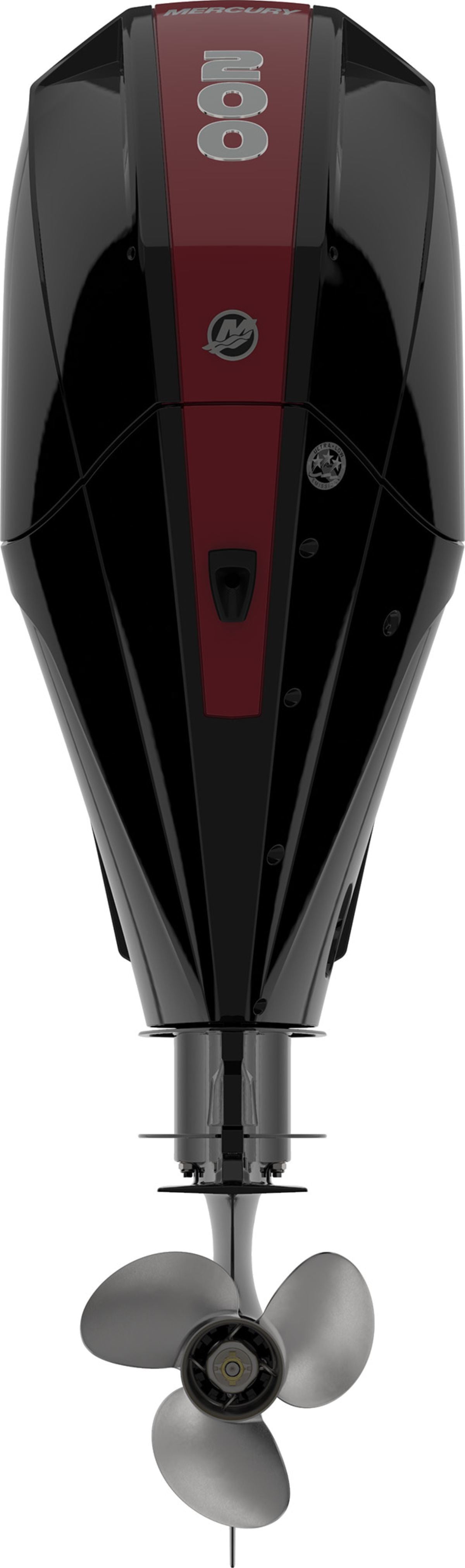 Mercury F 200 L / XL DS