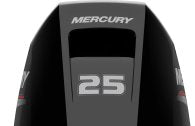Mercury F 25 ELPT EFI