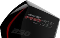 Mercury P 250 XL TM MS Pro XS