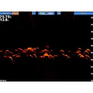 Garmin GSD™ 24 erweitertes Sonarmodul