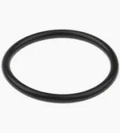 O-Ring for Vetus seawater filter FTR330 (per piece)