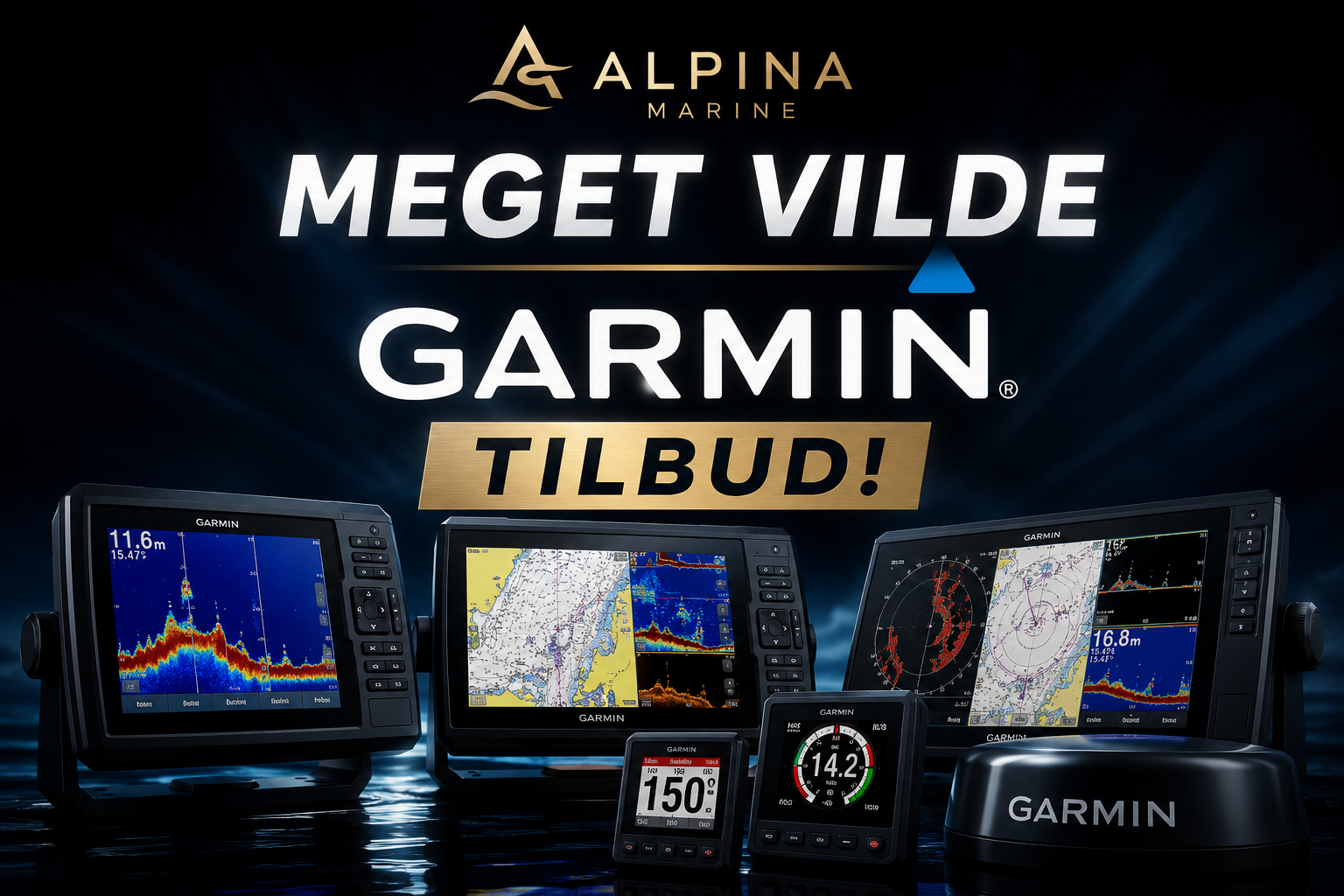 5 års dag Garmin