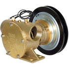 Jabsco Impellerpumpe Magnetkupplung 200 1b 12V (50200-2211)