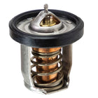Termostat til Suzuki, OEM 17670-91J01