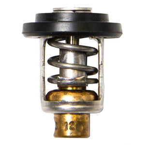 Sierra Thermostat 50gr. Yamaha