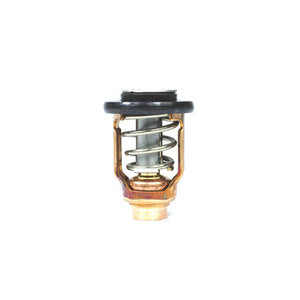 Sierra Thermostat. Yamaha