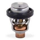 Sierra Thermostat 60gr. Suzuki