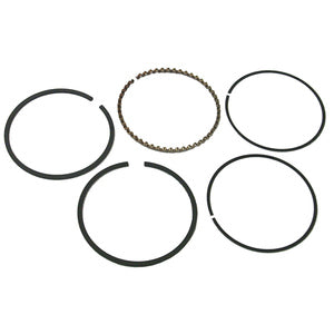 Sierra Piston Rings. Mercruiser