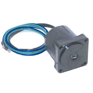 Sierra Tilt/Trimm-Motor. Evinrude/Johnson