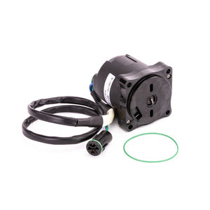 Sierra Tilt/Trimm-Motor. Honda