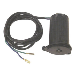 Sierra Tilt/Trimm-Motor. Evinrude/Johnson