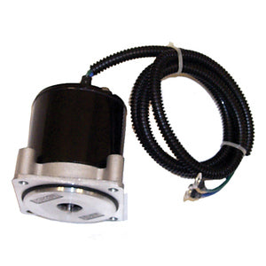 Sierra Tilt/Trimm-Motor, Yamaha