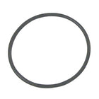Sierra O-Ring. Quecksilber