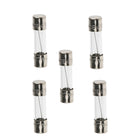 Glassicherung 20 mm 20A Stk./5 Stk.