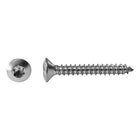 Selbstschneidende Schraube Edelstahl Linsenkopf mit Torx