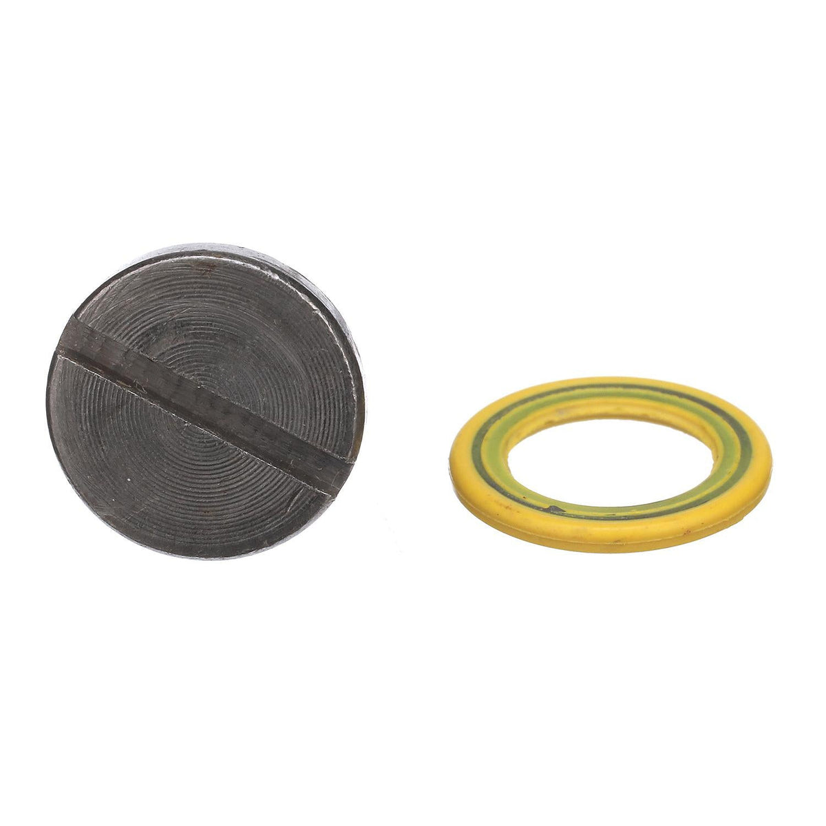 Quicksilver magnetisk gearolieprop med pakning 22-8M0058389