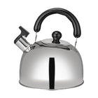 Stainless steel kettle