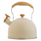 Stainless steel kettle