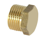 Rakicevic Zinc Plug Bukh