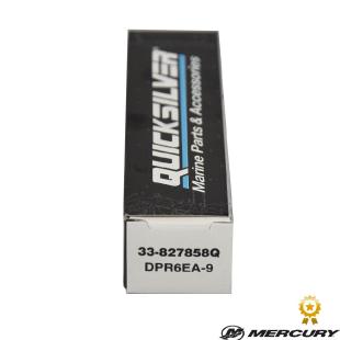 Quicksilver/Mercury SP DPR6EA-9 - Teile-Nr.: 33-8M0176670