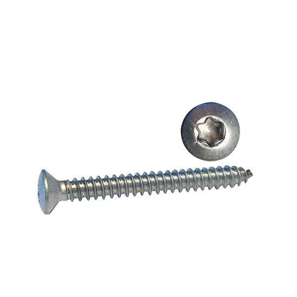 Selvskærende skrue Linsehoved Torx kærv TX30 6,3x50 A4 ISO14587 4 stk
